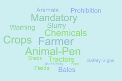 English-Word-Cloud-Farm-Safety-by-Lily-6th