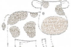 Farm-Safety-Word-Cloud-The-Cow-by-Lexi-6th