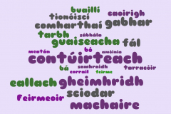Word-Cloud-Gaeilge-Farm-Safety-by-Raffaele-6th
